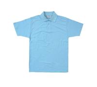Absolute Apparel Men's Precision Polo 4XL Light Blue Tunic