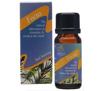 Absolute Aromas Focus Essential Oil Blend 10ml - Pure Natural, Undiluted - for Aromatherapy and Diffusers