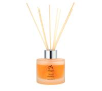 Absolute Aromas Noel Reed Diffuser with Cinnamon, Clove, Frankincense, Orange, Myrrh and Pine Essential Oils