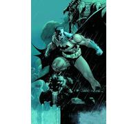 Absolute Batman Hush HC