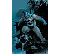 Absolute Batman: Hush: (New Edition)