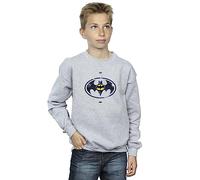 Absolute Cult DC Comics Boys The Flash Batman Metal Logo Sweatshirt Sport Grey 3-4 Years