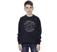 Absolute Cult Netflix Boys Stranger Things Hawkins Grey Tiger Sweatshirt Navy Blue 12-13 years