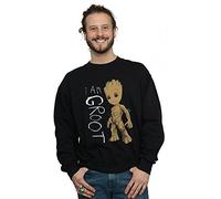 Absolute Cult Pantera Men's Vulgar Display of Power Sweatshirt Black X-Large