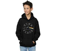Pink Floyd Boys Prism Circle Logo Hoodie Black 12-13 Years