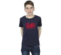 Absolute Cult St David's Day Boys Welsh Dragon T-Shirt Navy Blue 3-4 Years