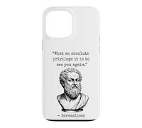 Absolute Privilege Sarcasm Philosophy Dry Humor Case for iPhone 13 Pro Max