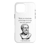 Absolute Privilege Sarcasm Philosophy Dry Humor Case for iPhone 16 Pro Max