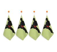 Absorbent Hand Towels Super Soft Face Towel Karate Boy Changeable Belt Color Bath Towels Set Of 4PCS Gym Towel with Hanging Loop Decorative Kitchen Hand Toweles for Yoga Camping Hotel Spa Travel