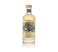 Abstinence Cape Agave Non Alcoholic Mezcal Alternative 750ml Premium Smoky Botanical Zero Proof Spirit for Mindful Drinking and Mocktails