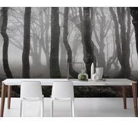 Abstract Art Dead Tree Black and White Forest Fog 3D Wallpaper Silky Texture Home Study Office Grey Dining Room Sofa Bedroom Living Room TV Backdrop-200cm×140cm