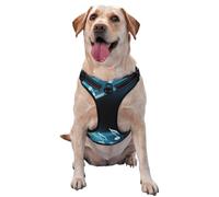 Abstract Blue Free Neon Light Music Notes,Pet Harness,Adjustable Reflective Dog Harness,Pet Leash Vest,XL