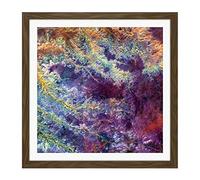 Abstract Bright Plant Roots Square Wooden Framed Wall Art Print Picture 16X16 Inch