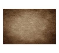 Abstract Brown Backdrop Retro Brown Backdrops for Photography Portrait Background LFEEY 10x8ft Polyester Solid Color Baby Shower Birthday Party Newborn Cake Smash Kids Adult Portrait Decoration Props