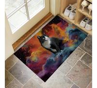 Abstract Cat Door Mats Indoor Doormat Washable For Pets Door Matts Duty Non-Slip Entrance Mat Super Absorbent Front Doormat, Fantasy Nebula For Kitchen Bathroom Mixed Colors, 40 X 60 Cm