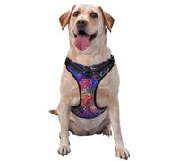 Abstract Composition Of Intertwined Shapes No Pull Dog Harness Adjustable Reflective Oxford Easy Control Medium Large Dog Harness