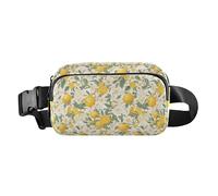 abstract Evil Eye White Waterproof Waist Bag Fanny Pack with Adjustable Strap for Travel Vacation Running, Floral Pattern Orange Fruits, One Size