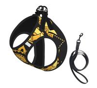 Abstract Floral Mandala Gold No Pull Dog Harness and Leash Set, Cute Reflective Adjustable Vest for Small Dogs,Breathable Mesh Puppy Harness for Walking Hiking,Large