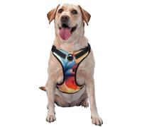 Abstract Flower Bloom Colors Minimalist No Pull Dog Harness Adjustable Reflective Oxford Easy Control Medium Large Dog Harness