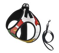 Abstract German Flag Map Print Adjustable Reflective Harness Leash Set For Cats, Dogs And Small Pets, Soft Breathable Mesh Walking Vest With Escape-Proof Lead
