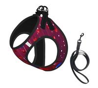 Abstract Heart Print Step in Dog Harness and Leash Set,Mesh Pet Vest Harness for Small Dogs and Cats