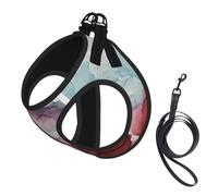 Abstract Marble Print Pet Leash Vest,Breathable Mesh Pet Harness, Reflective For Small Medium Dogs Safe Easy Walking