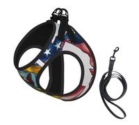 Abstract Minnesota State Flag Map Print Adjustable Reflective Harness Leash Set For Cats, Dogs And Small Pets, Soft Breathable Mesh Walking Vest With Escape-Proof Lead