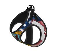 Abstract Minnesota State Flag Map Print Adjustable Reflective Harness Leash Set For Cats, Dogs And Small Pets, Soft Breathable Mesh Walking Vest With Escape-Proof Lead