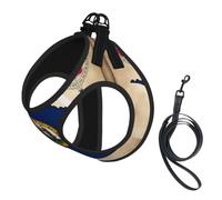 Abstract Minnesota State Flag Map03 Print Pet Vest Harnesses Leash Set Reflective Puppy Vest Dogs Walking Training Dog Harness
