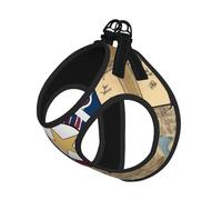 Abstract Mississippi State Flag Map Print Adjustable Reflective Harness Leash Set For Cats, Dogs And Small Pets, Soft Breathable Mesh Walking Vest With Escape-Proof Lead