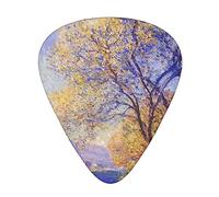 Abstract Nature Landscape Printed Guitar Picks Personalized Guitar Plectrums 12 Pcs For Acoustic Guitar Electric Guitar And Bass Bulk Guitar Pick One Size