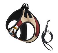 Abstract Nevada State Flag Map Print Adjustable Reflective Harness Leash Set For Cats, Dogs And Small Pets, Soft Breathable Mesh Walking Vest With Escape-Proof Lead