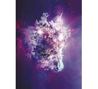 Abstract Paint by Numbers for Adults with Frame, Large Paint by Number Canvas Kits, DIY Color Oil Painting Acrylic Paints with Brushes, Hobbies for Adults Women, Home Wall Decor Gifts 100x135cm J8-167
