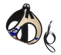 Abstract Philippine Flag Map02 Print Reflective No Choke Pet Vest Harness,Adjustable Soft Padded Dog Harness With Easy Control Handle