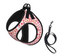 Abstract Pink Red Circle Pattern No Pull Dog Harness and Leash Set, Cute Reflective Adjustable Vest for Small Dogs,Breathable Mesh Puppy Harness for Walking Hiking,Large