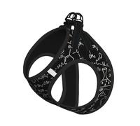 Abstract Science Chemistry Illustration 3d Print Pet Leash Vest For Small Dogs Cats, Adjustable Pet Harness Vest, Outdoor Walking Hiking