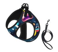 Abstract Science Chemistry print Dog Harness and Leash Set, Reflective Adjustable Puppy Vest for Small Medium Large Dogs, Cats