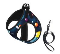 Abstract Science Chemistry Print Pet Leash Vest,For Small Dogs,Adjustable And Comfortable Cat Puppy Essentials