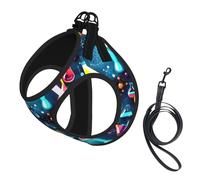 Abstract Science Chemistry Print Pet Leash Vest For Small Dogs Cats, Adjustable Pet Harness Vest, Outdoor Walking Hiking