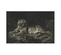 Abstract Sleeping Tiger Canvas Poster Bedroom Decor Landscape Office Room Decor Gift 20x30inch(50x75cm)