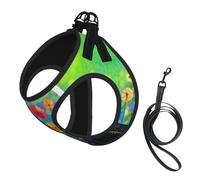 Abstract Style Colorful Flowers print Dog Harness and Leash Set, Reflective Adjustable Puppy Vest for Small Medium Large Dogs, Cats