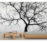 Abstract Tree Mural Wallpaper Black Tree of Life Mural Modern Minimalist Wall Decor Botanical Branches Murals for Living Room Bedroom 500 x 317 cm