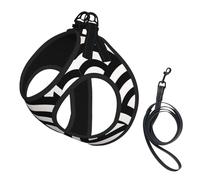 Abstract Waves, Arches, Black and White Lines No Pull Dog Harness and Leash Set, Cute Reflective Adjustable Vest for Small Dogs,Breathable Mesh Puppy Harness for Walking Hiking,Medium