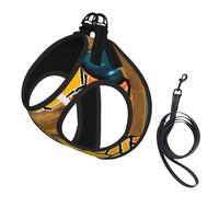 Abstract World Map Print Pet Leash Vest Reflective Adjustable Soft Mesh Vest Breathable For Daily Walks