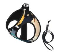 Abstract World Map printing Dog Harness with Leash Set, Step-in Breathable Puppy Cat Dog Vest, No Pull Adjustable Puppy Harness