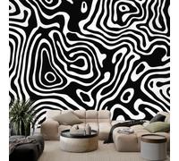 Abstract Zebra Stripes Wallpaper Mural for Living Room 500 x 280 cm | Minimalist Line Art Poster Wall Mural Non-Woven Photo Wallpaper, Modern Bedroom Kids Room TV Background Wall Decor, Black