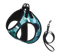 Abstraction Biology Chemistry Print Dog Harness,Pet Leash Vest,Adjustable And Reflective Vest,For Small To Medium Dogs