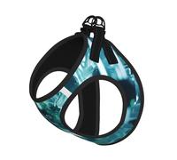 Abstraction Biology Chemistry Print Dog Harness,Pet Leash Vest,Adjustable And Reflective Vest,For Small To Medium Dogs
