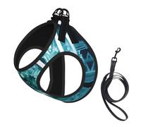 Abstraction Biology chemistry41 Print Small Dog Harness with Leash Set, No Escape Easy Walk Puppy Harnesses for Training Walking