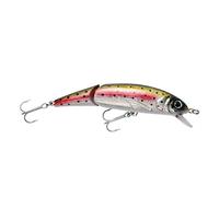 Abu Garcia Jointed Tormentor Floating Minnow 110 Mm 20g Multicolor